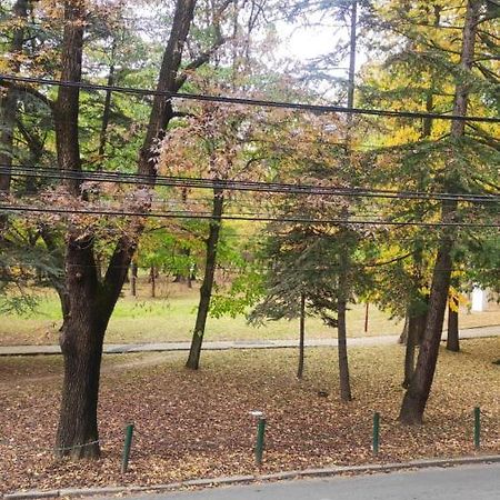 Апартаменты Centar_Park Аранделовац Экстерьер фото